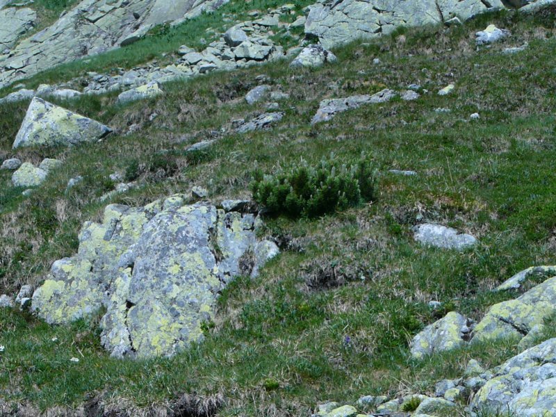 nachate070.jpg